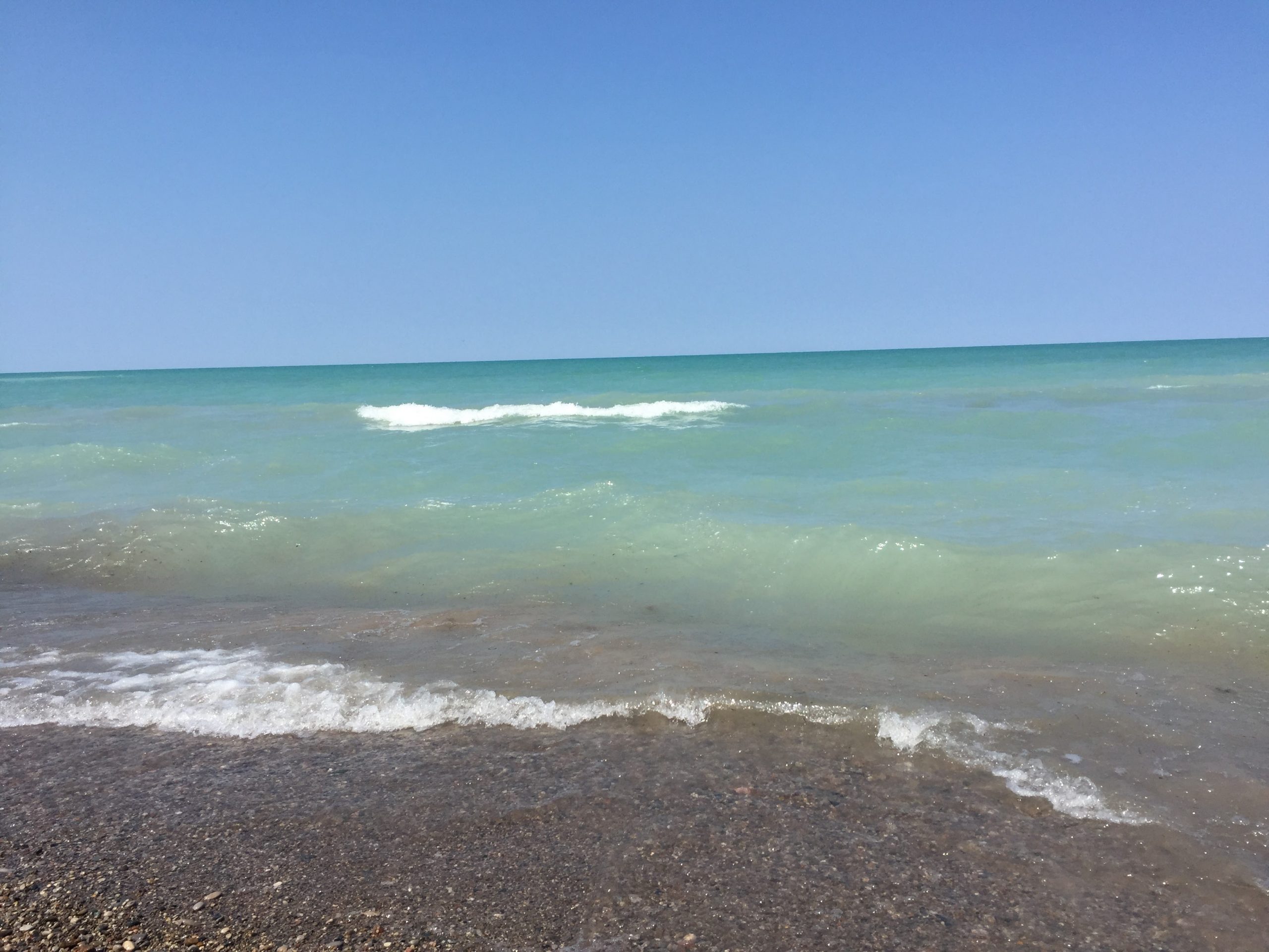 Ashfield Park Beach