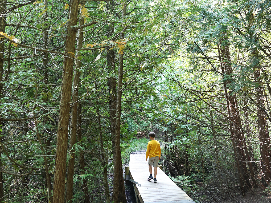 Bannockburn Conservation Area