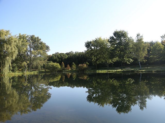 Fishing Falls Reserve