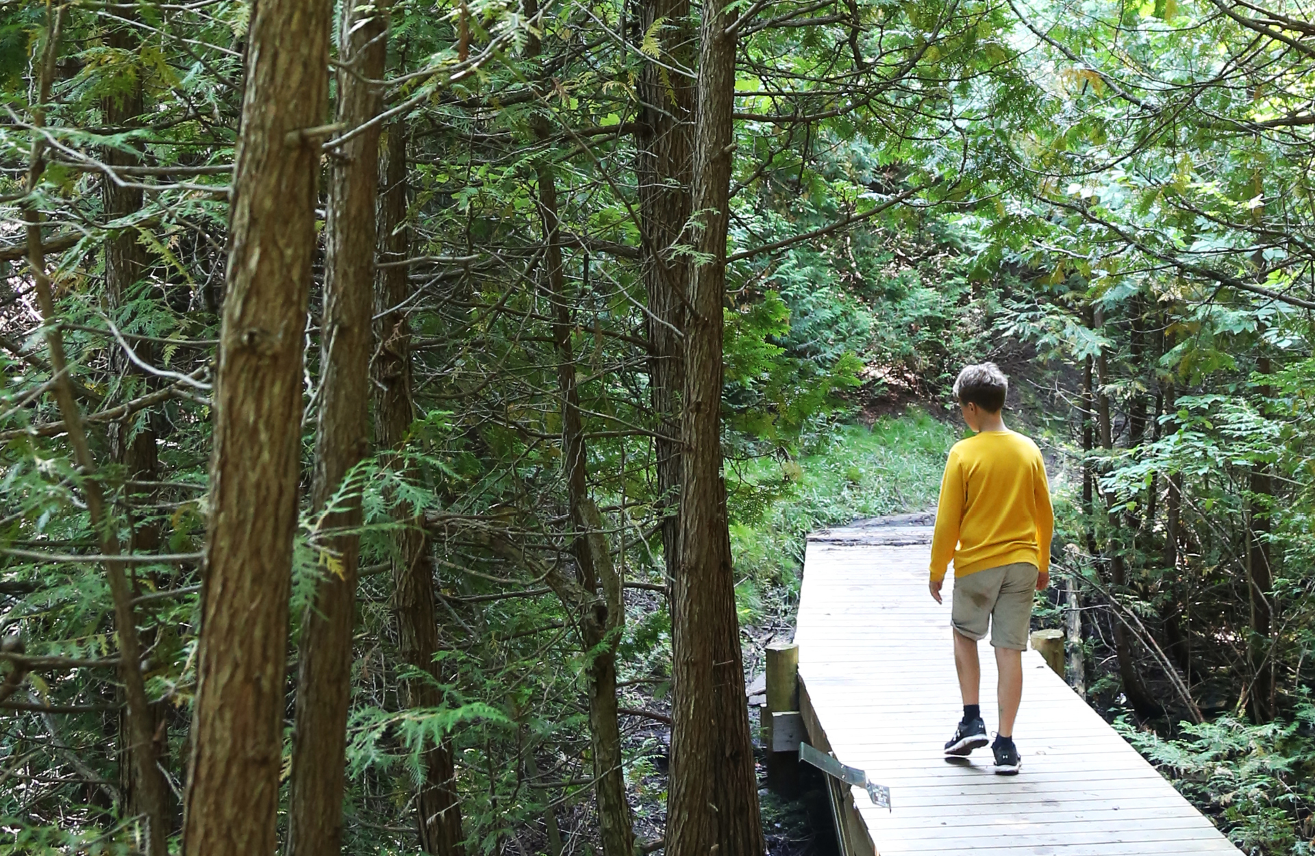 Bannockburn Trail