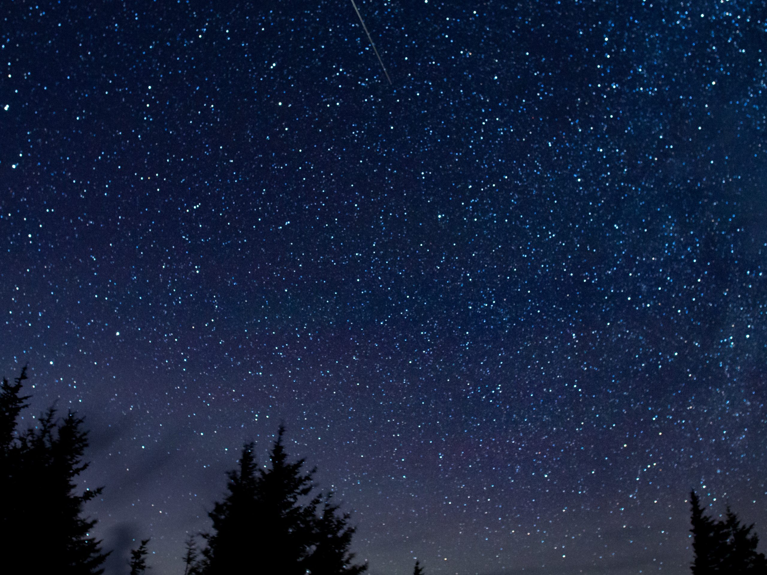 Perseid Meteor Shower