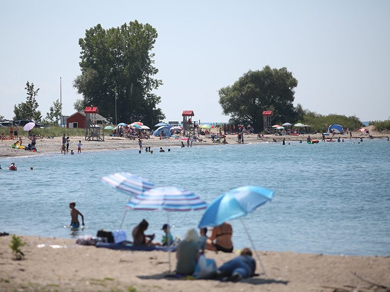 Rotary Cove Beach