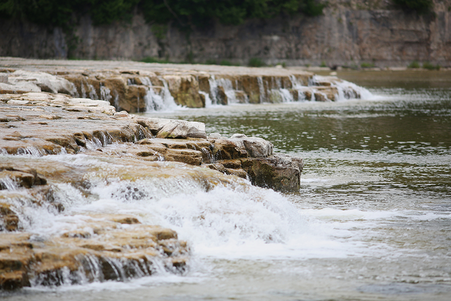 Falls Reserve