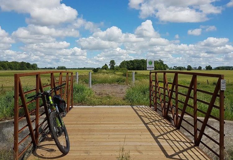 G2G Rail Trail