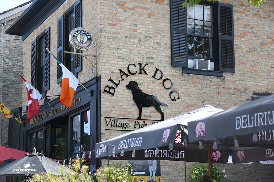 Pg 24 Black Dog Black Dog