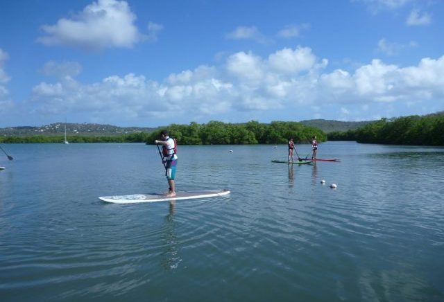 Stand up paddle boarding