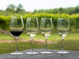 Wine glasses