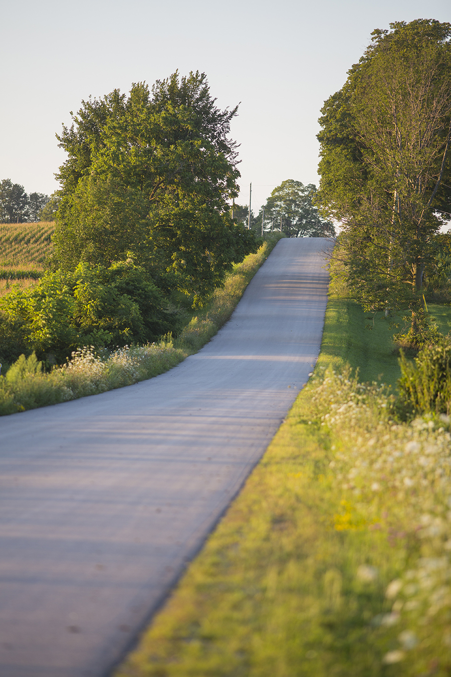 Countryside