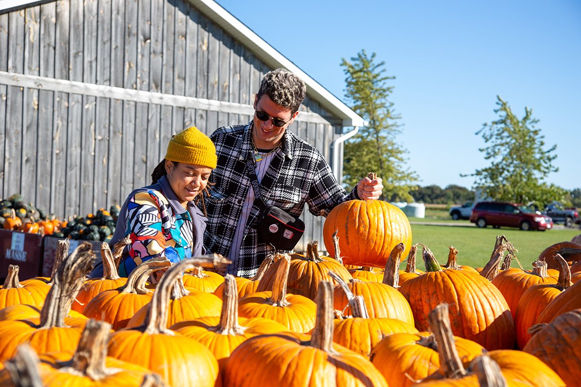 pumpkin patch