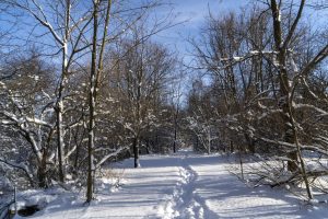 Winter Hiking