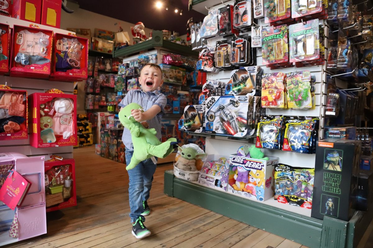 Village Toy Castle Dashwood