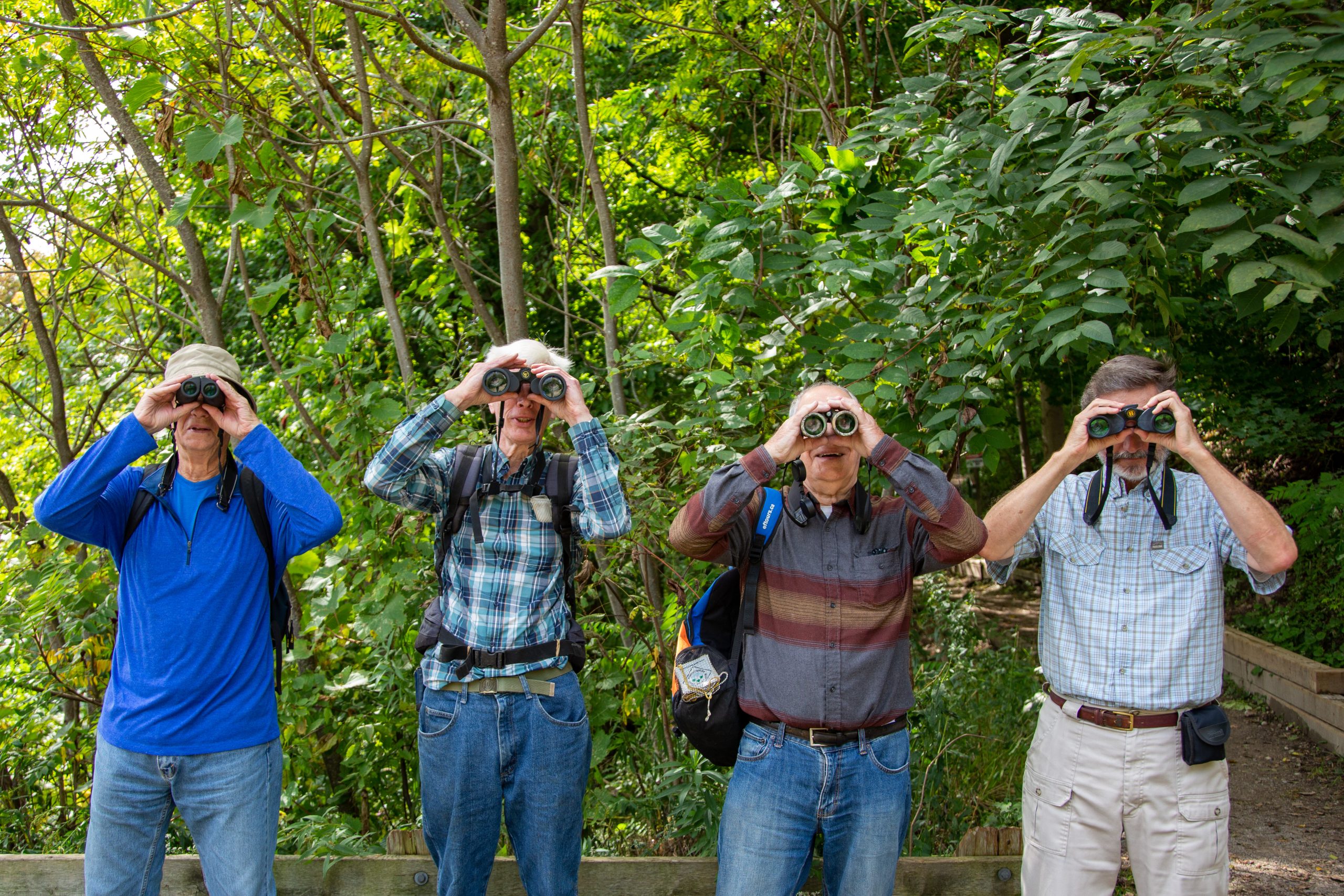 2021-MaitlandTrailBirdwatching_209 (1)