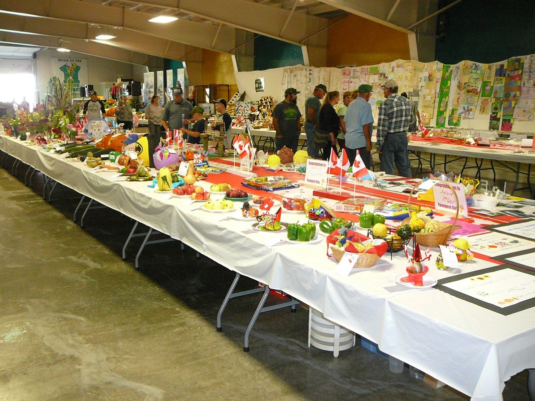 Howick-Turnberry Fair 2 Fire Truck