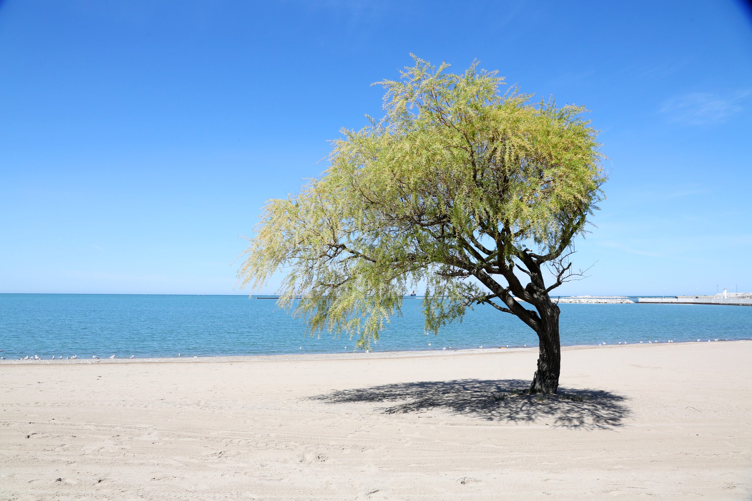 Goderich Main Beach