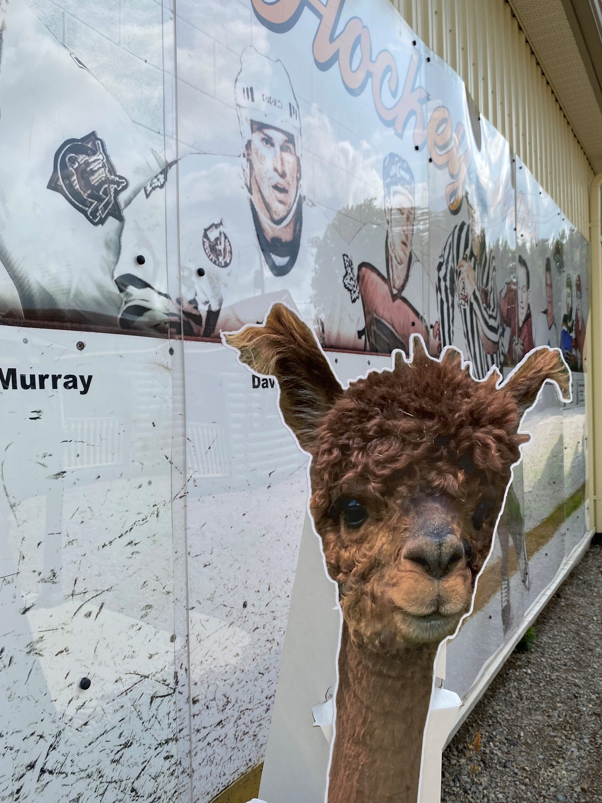 Hockey Mural