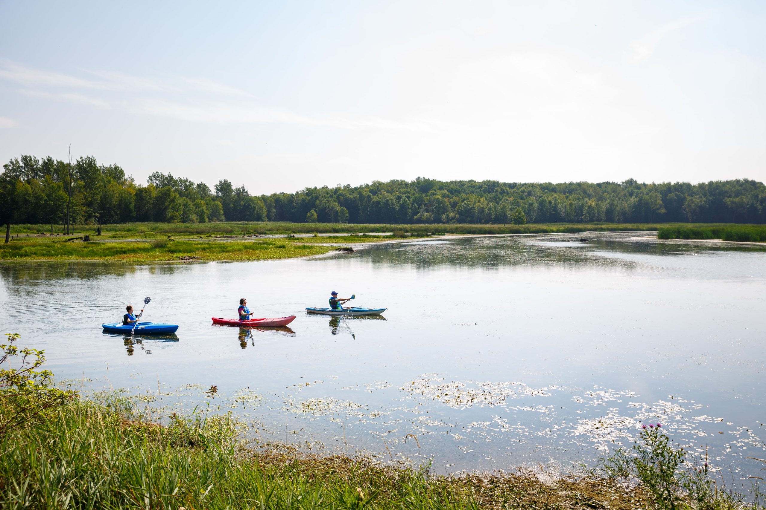 Hullett Provincial Wildlife Area