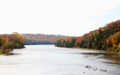 Crisp Air, Cozy Vibes: Fall Escapes on Ontario’s West Coast