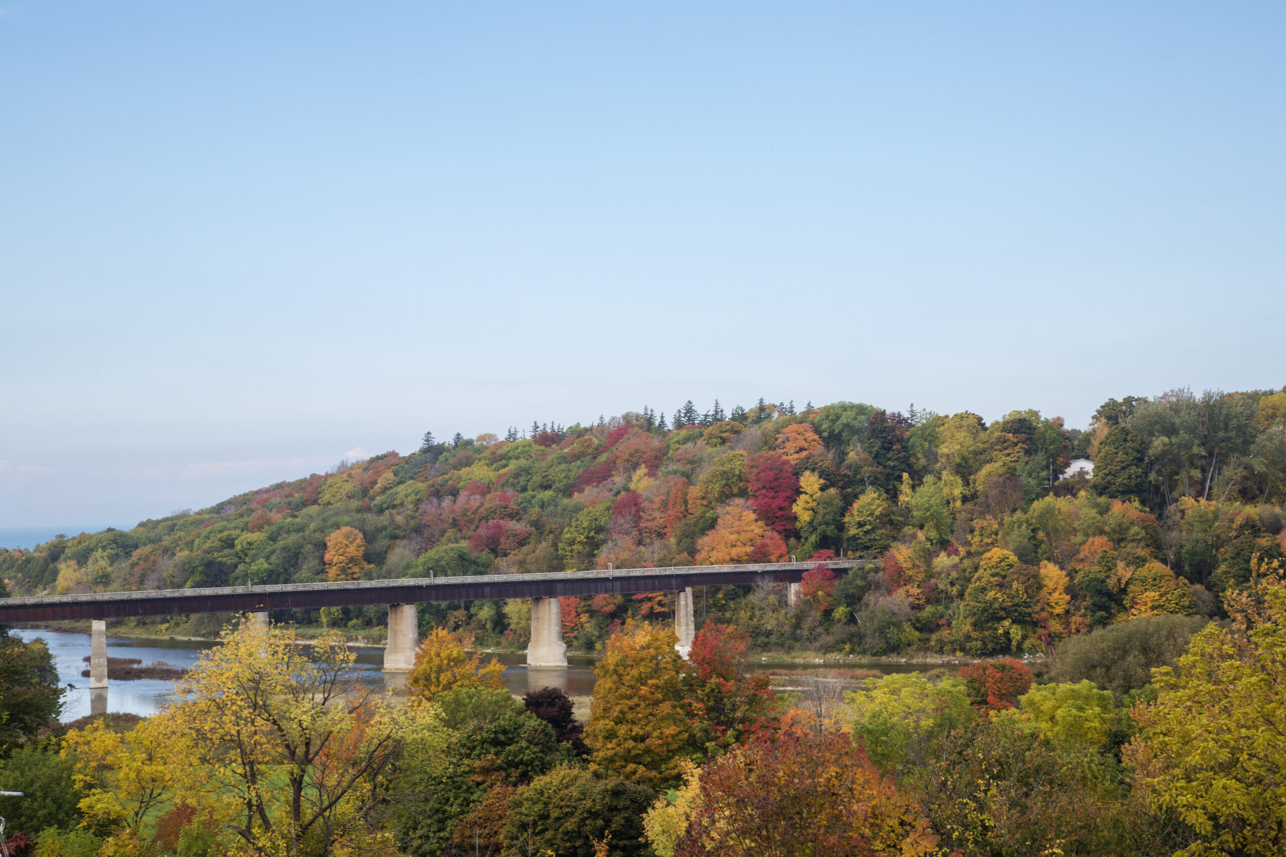 Fall OWC