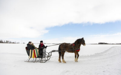 Plan a Romantic Getaway on Ontario’s West Coast