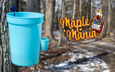 Maple Mania on Ontario’s West Coast