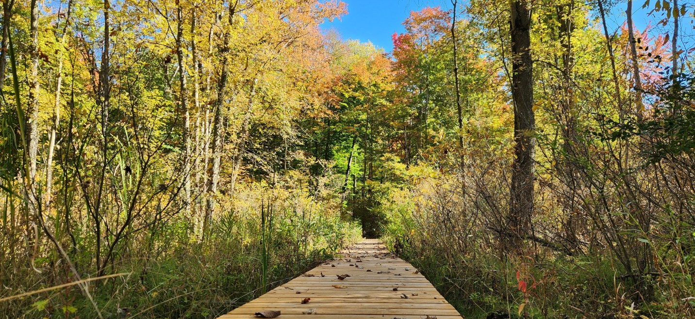 Serneity trail 2 Bannockburn Conservation Area