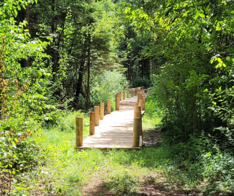 Untitled design - 2025-05-14T103937.817 Bayfield Sawmill Trail