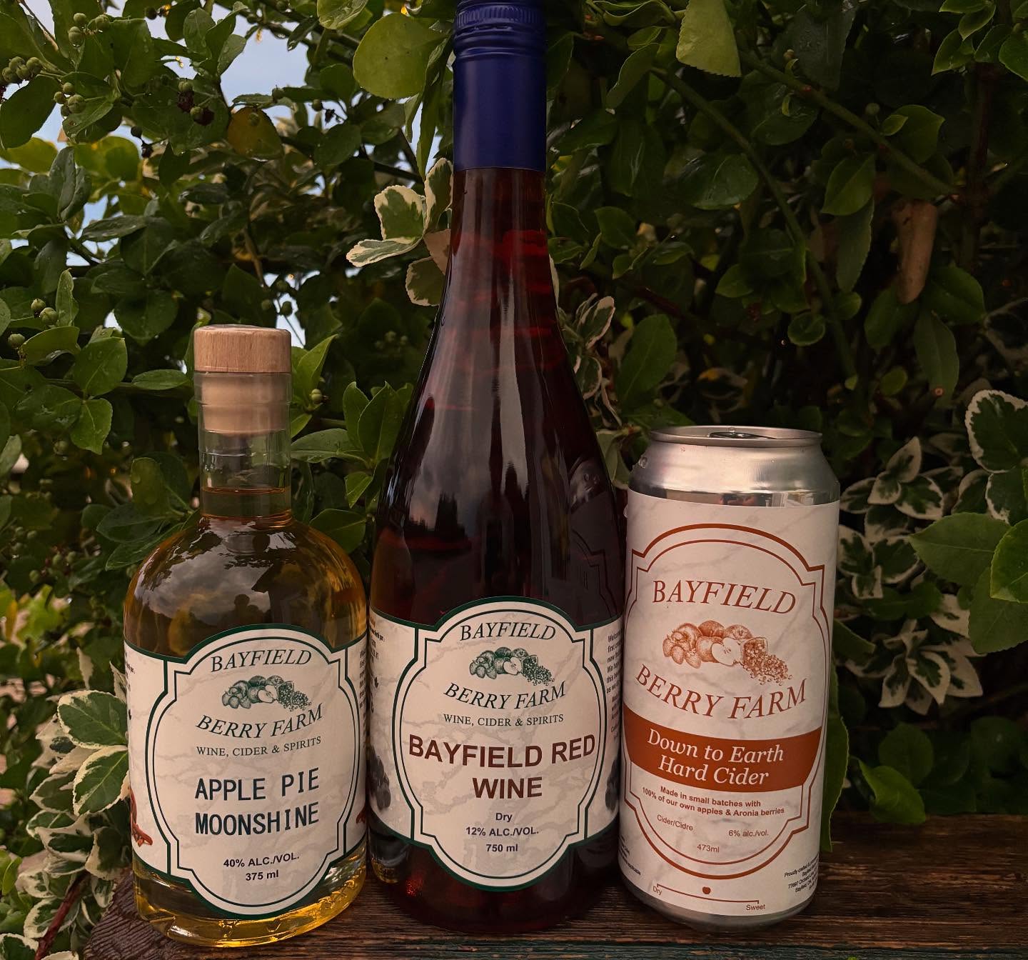 cornerfield wine glasses