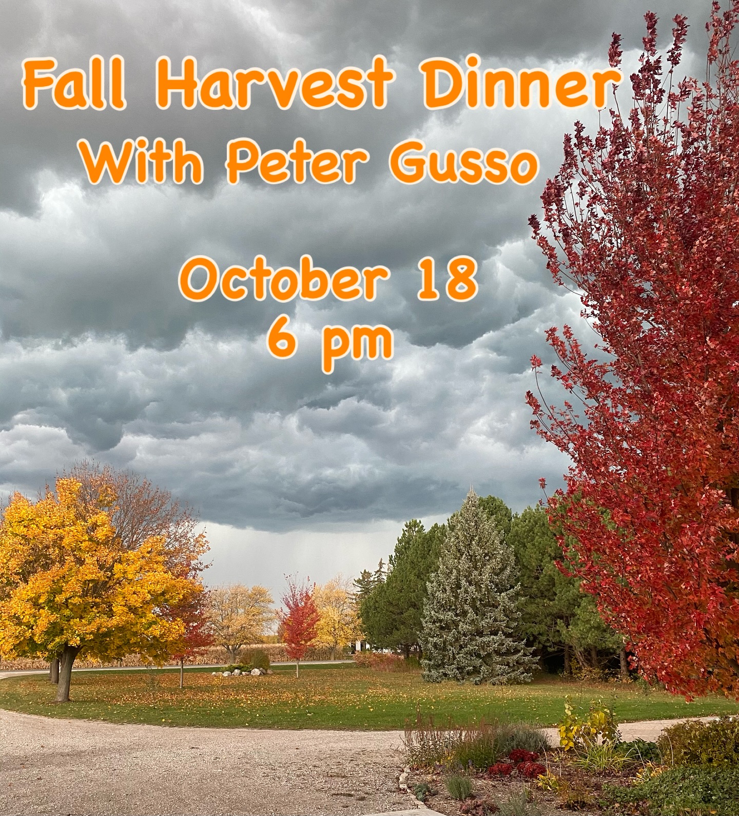 cornerfield wine glasses