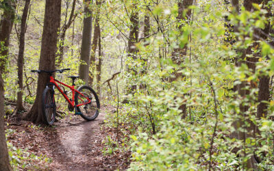 May in Huron County: Markets, Trails & the Unofficial Start of Summer