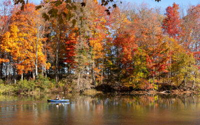 Crisp Air, Cozy Vibes: Fall Escapes on Ontario’s West Coast